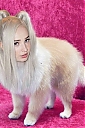 kimpetras_1563592367_2091886856426051729_22710735.jpg